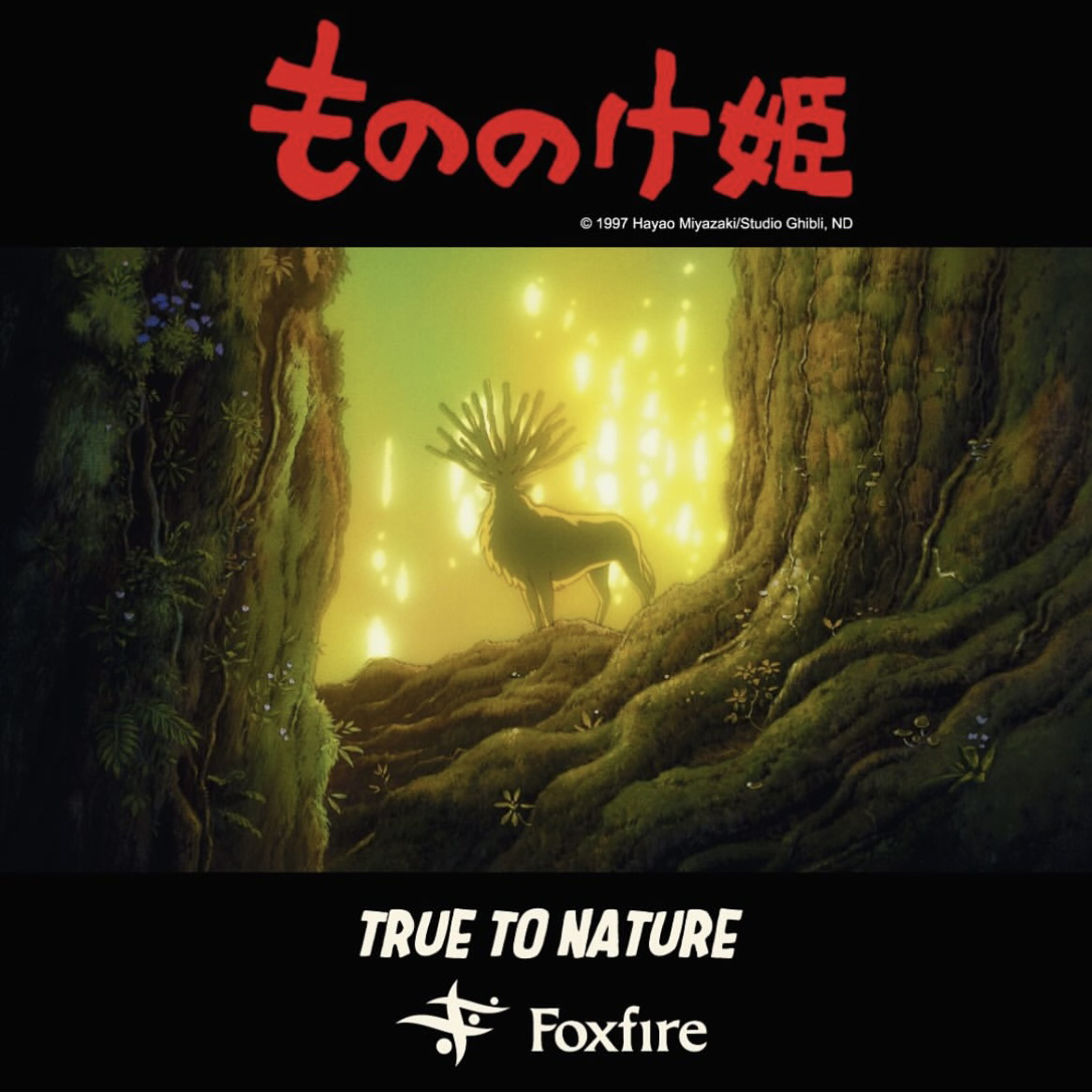 サン キャップ | Foxfire ブランド公式サイト | 公式通販サイト